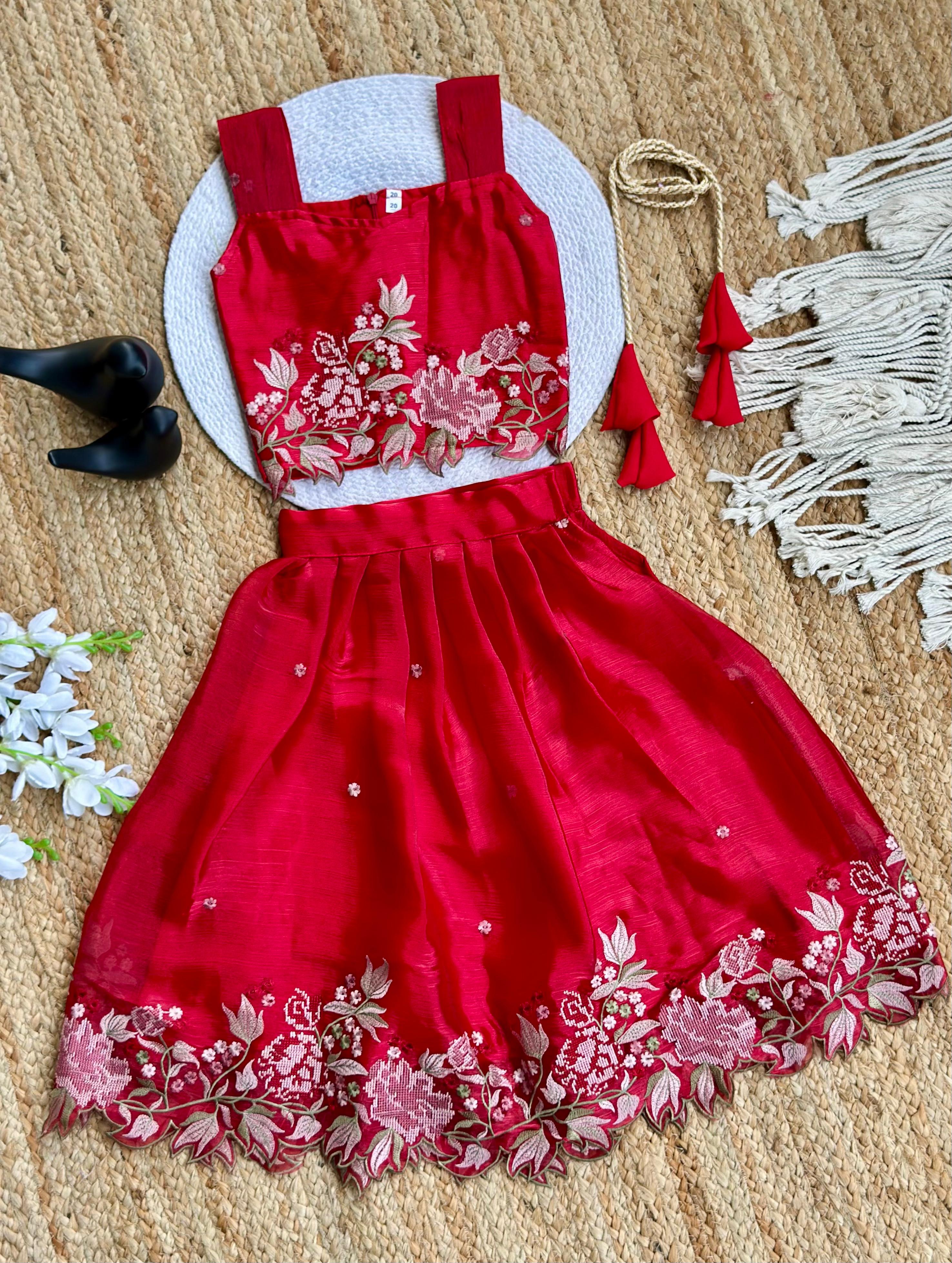 Innovative Jimmy-chu Beautiful Embroidery work Fabric Lahenga Choli